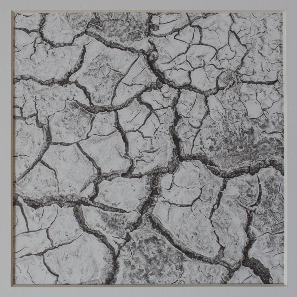 09.jpg másolata